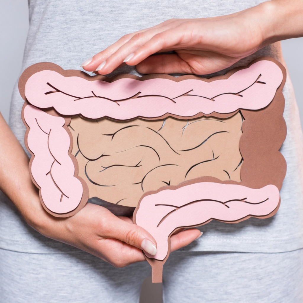 「腸内環境が整うと、ダイエットもうまくいく」—— 秋に見直したい“腸”とのつき合い方
