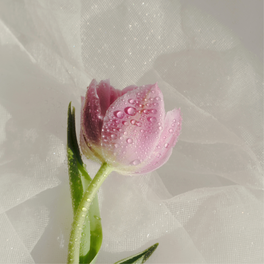 変わりたいと思えた時が、もう始まり