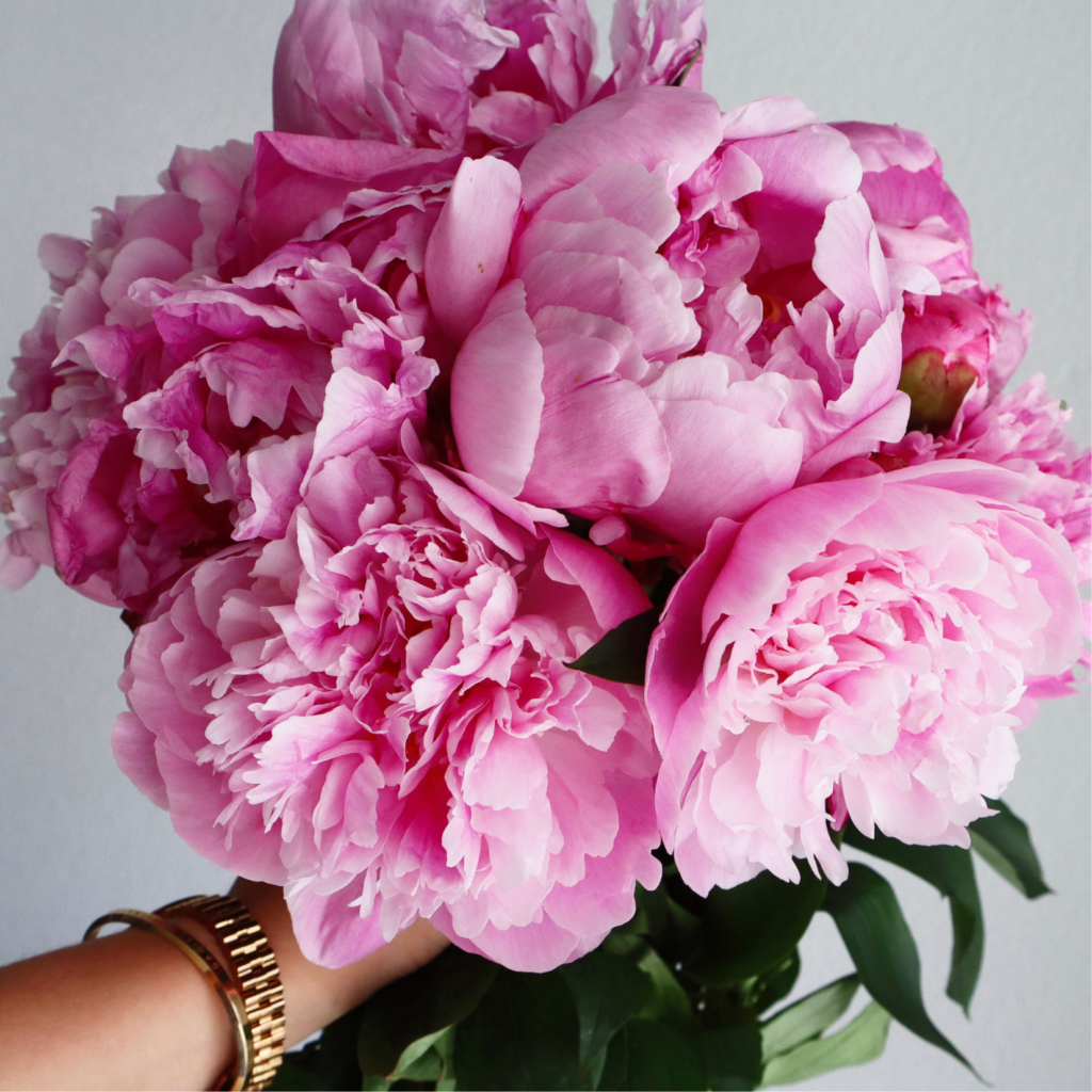 私がこの仕事をしている理由